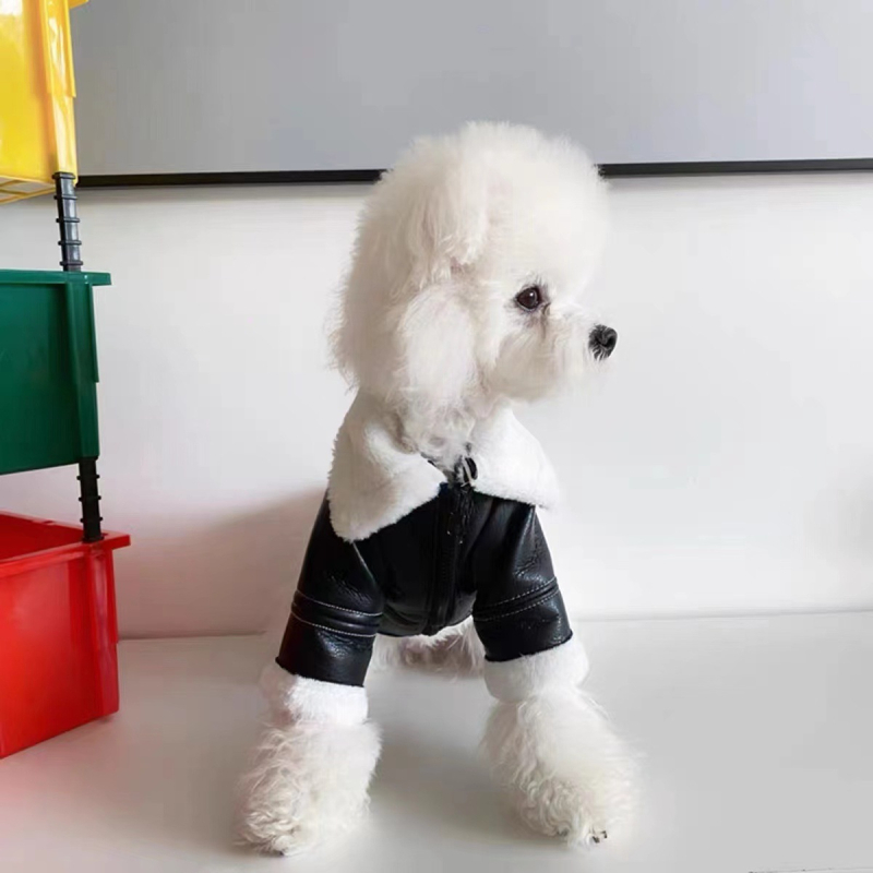 Odjeća za pse Zimska odjeća Debela moderna krznena jakna od jednodijelnog motocikla Mali medo za pse Beaumi Shenari Mačka