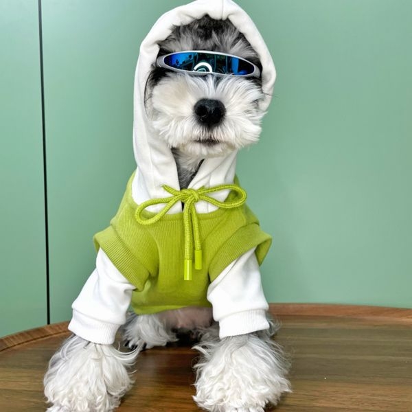 Lemmikloomariided kassidele ja koertele, fliisvoodriga paks dressipluus, spetsiaalne teddy, pomeranian, bichon frise kutsikatele, hulgimüük