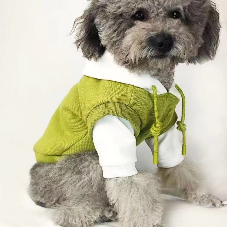 Lemmikloomariided kassidele ja koertele, fliisvoodriga paks dressipluus, spetsiaalne teddy, pomeranian, bichon frise kutsikatele, hulgimüük