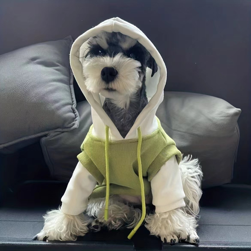 Lemmikloomariided kassidele ja koertele, fliisvoodriga paks dressipluus, spetsiaalne teddy, pomeranian, bichon frise kutsikatele, hulgimüük