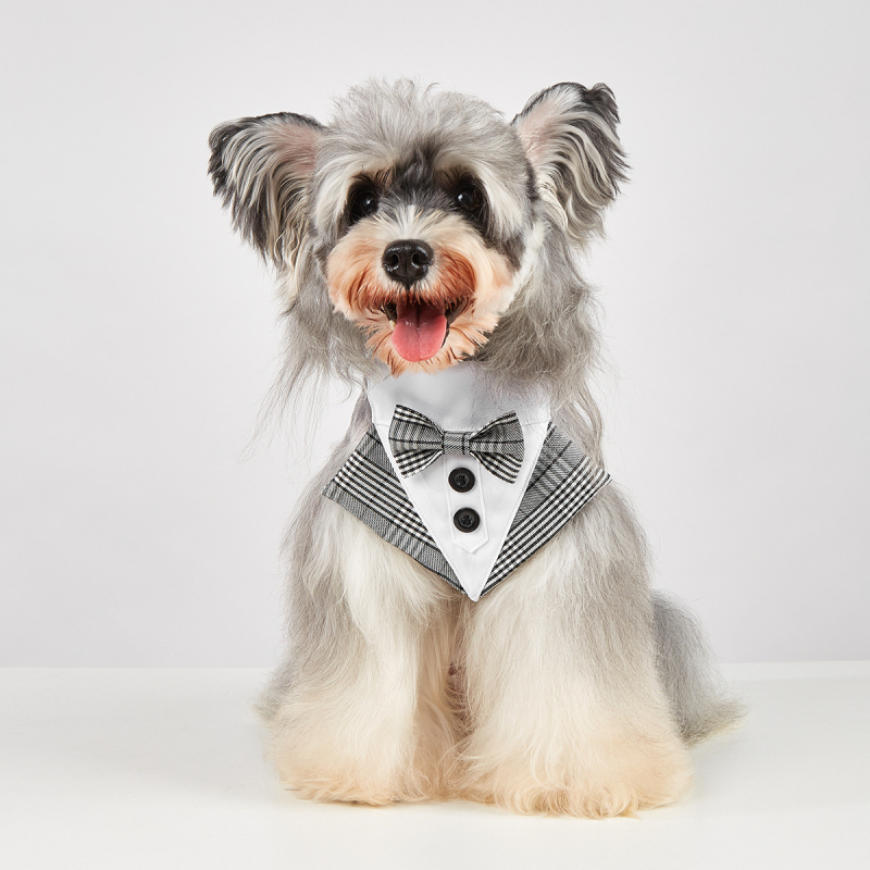 Tanpopo Transfrontalier Exclusiv Pet Tuxedo Pet Haine Pet Îmbrăcăminte Pet Costum de Nuntă în Carouri pentru Câini