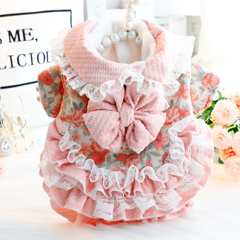 Őszi és téli kutyaruhák vastag macska hercegnő ruha vonóerő lolita aranyos kis kutya teddy kisállat 5885