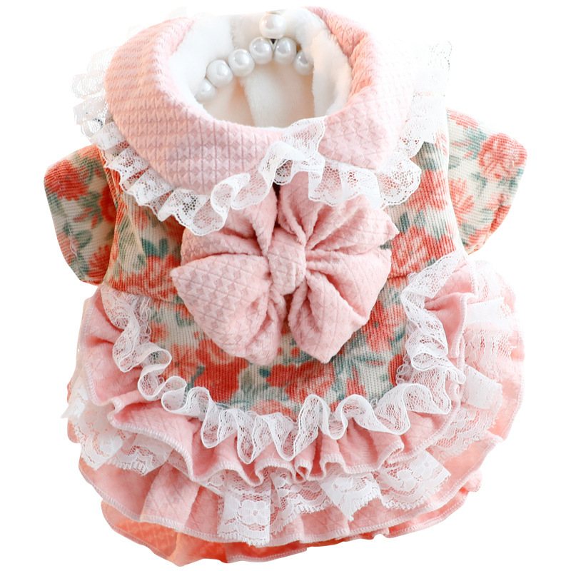 Őszi és téli kutyaruhák vastag macska hercegnő ruha vonóerő lolita aranyos kis kutya teddy kisállat 5885