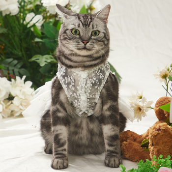 Ρούχα για κατοικίδια Χαριτωμένο φόρεμα Sherina για σκύλους Γάτα Φόρεμα γάμου με πλέγμα για τούρτες για κατοικίδια Αμάνικο φόρεμα για κατοικίδια