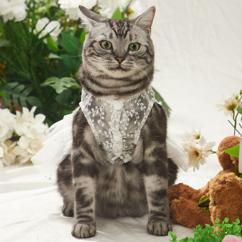 Kisállatruhák Aranyos Sherina kutyaruha Macska esküvői torta hálós ruha Kisállat ujjatlan ruha