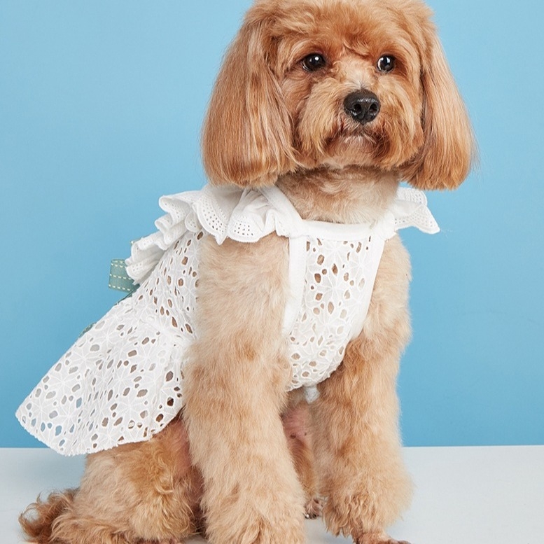 Tavasz Nyár Ősz Japán és koreai édes hercegnő masnis ruha Plüssmackók Kis és közepes kutyáknak való kisállatruhák