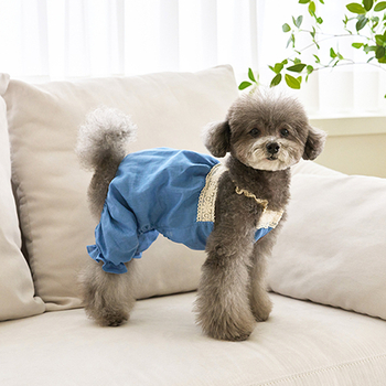 Καλοκαίρι 2025 σκύλος γάτα κλασικό τζιν δίποδη φόρμα αρκουδάκι κατοικίδιο σκύλο ρούχα καπέλο