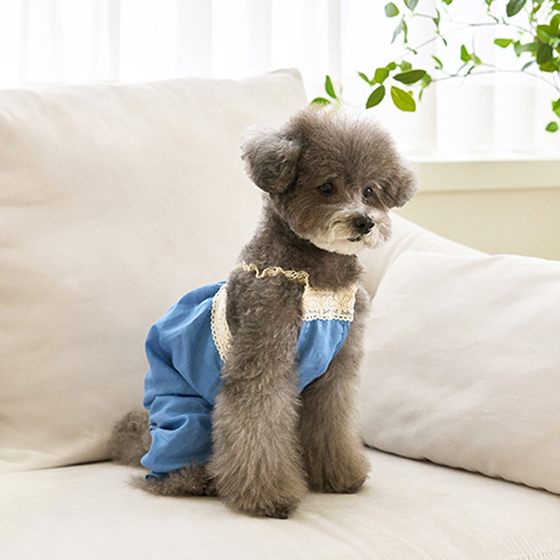 2025 nyári kutya-macska klasszikus farmer kétlábú overál mackós kisállat kutyaruha sapka