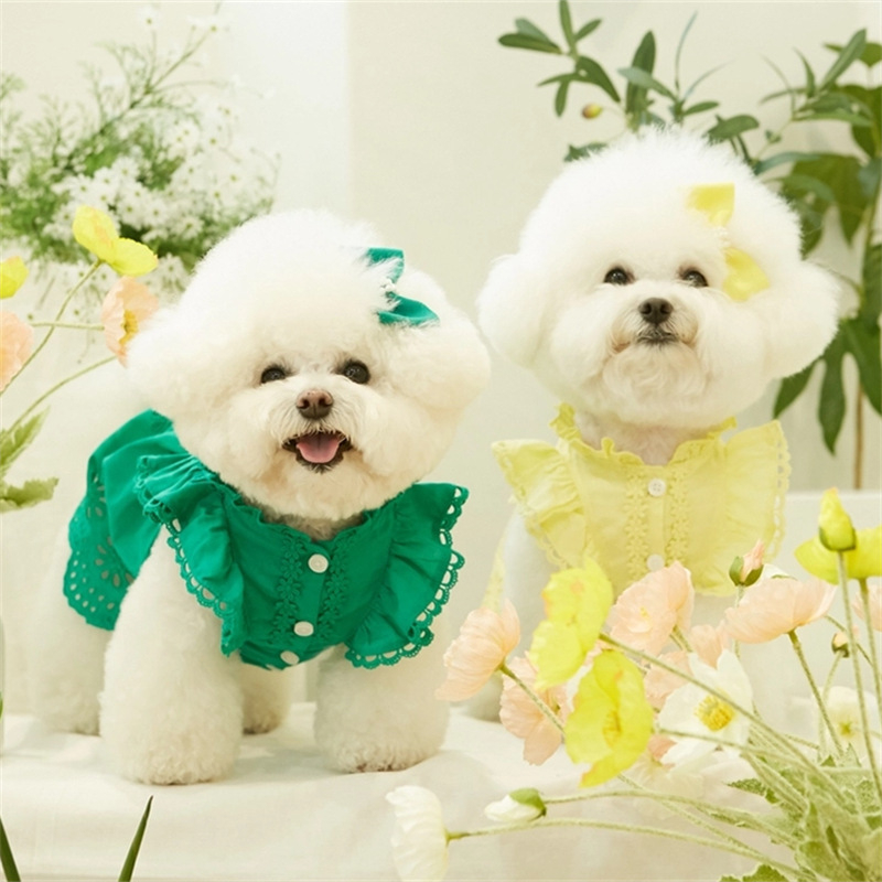 2025-ös nyári csipkés, repülő ujjú hercegnős ruha, teddy, bichon, kutya, macska, vékony ruhák + fejdíszek