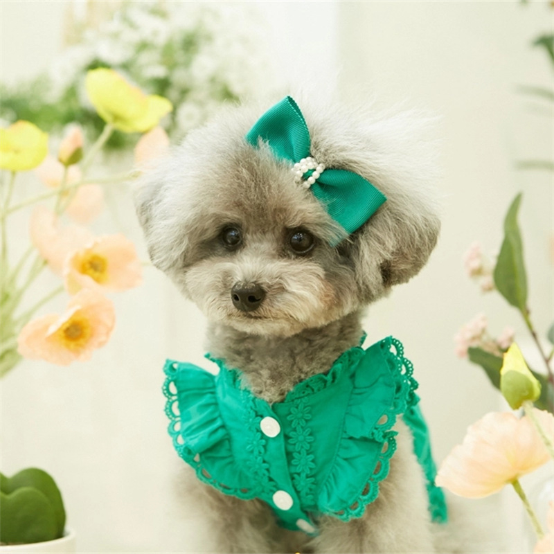 2025-ös nyári csipkés, repülő ujjú hercegnős ruha, teddy, bichon, kutya, macska, vékony ruhák + fejdíszek