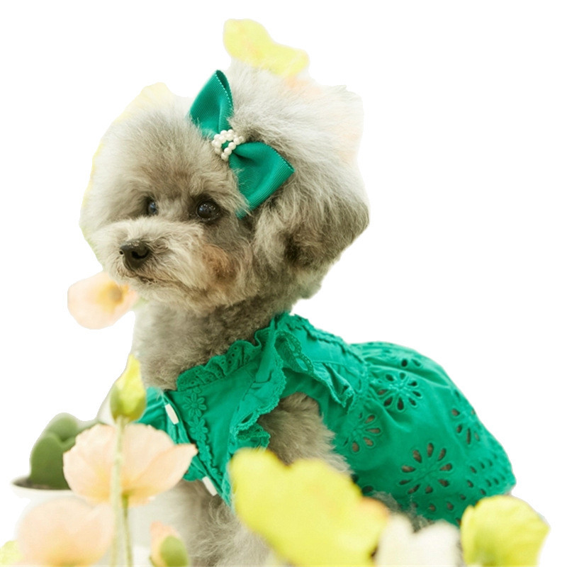 2025-ös nyári csipkés, repülő ujjú hercegnős ruha, teddy, bichon, kutya, macska, vékony ruhák + fejdíszek