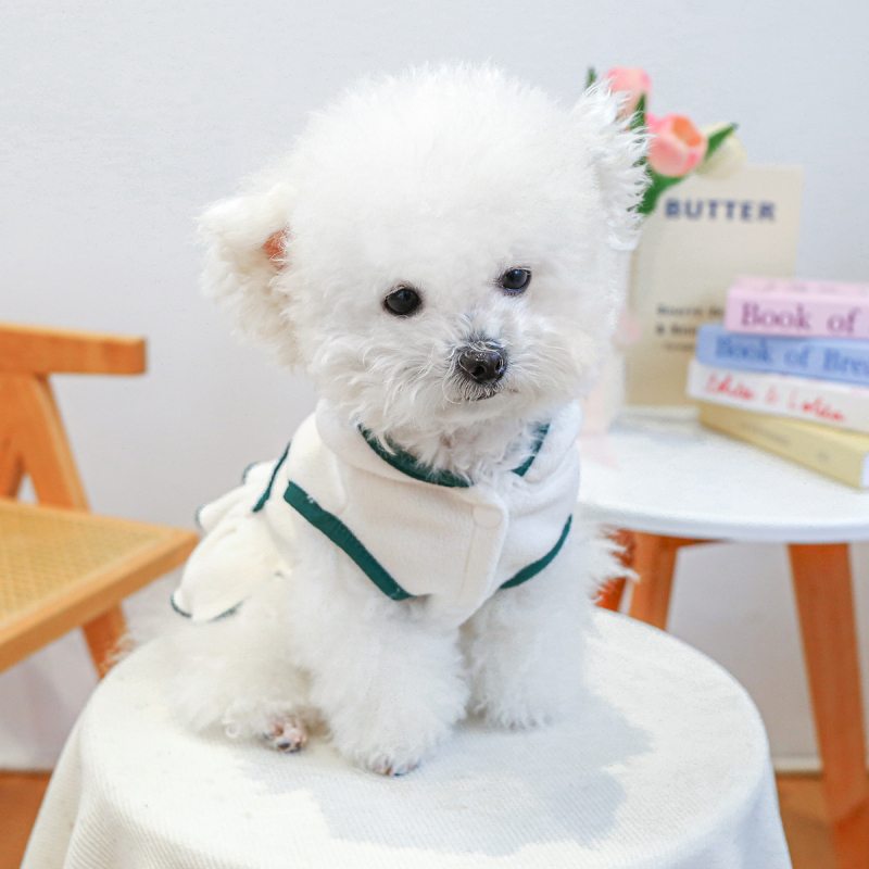 raktáron határokon átnyúló robbanások kisállat kiskutya macska ruhák forrás gyár ősz és tél új teniszruha nagykereskedelem