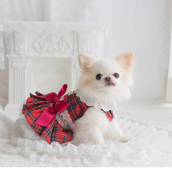 2025 Újév Karácsony Valentin-nap Kutyaruházat Kisállat Tavasz és Nyár Új Ruházat Niche Fizetős Ruha