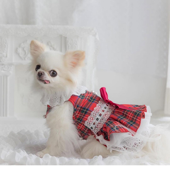 2025 Πρωτοχρονιά Χριστούγεννα Ημέρα του Αγίου Βαλεντίνου Ρούχα για σκύλους Κατοικίδιο Άνοιξη και Καλοκαίρι Νέα ρούχα Εξειδικευμένο Φόρεμα Πληρωμένο