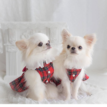 2025 Πρωτοχρονιά Χριστούγεννα Ημέρα του Αγίου Βαλεντίνου Ρούχα για σκύλους Κατοικίδιο Άνοιξη και Καλοκαίρι Νέα ρούχα Εξειδικευμένο Φόρεμα Πληρωμένο