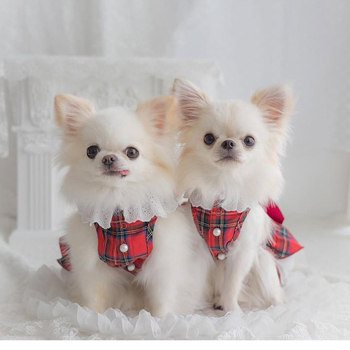 2025 Πρωτοχρονιά Χριστούγεννα Ημέρα του Αγίου Βαλεντίνου Ρούχα για σκύλους Κατοικίδιο Άνοιξη και Καλοκαίρι Νέα ρούχα Εξειδικευμένο Φόρεμα Πληρωμένο