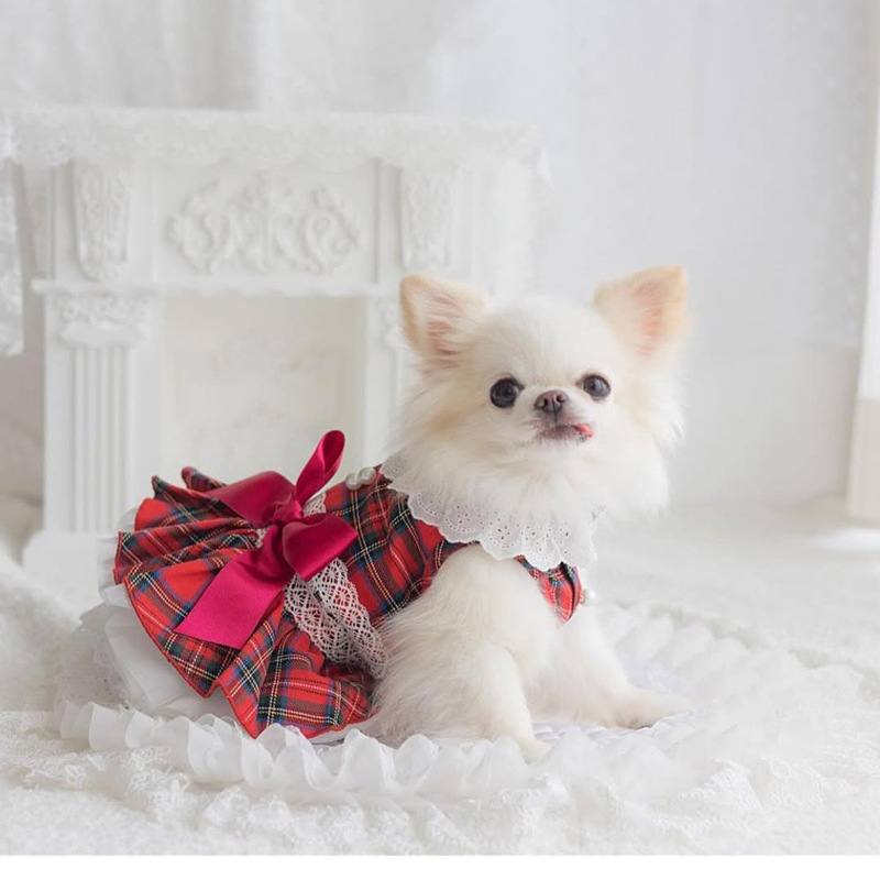 2025 Újév Karácsony Valentin-nap Kutyaruházat Kisállat Tavasz és Nyár Új Ruházat Niche Fizetős Ruha