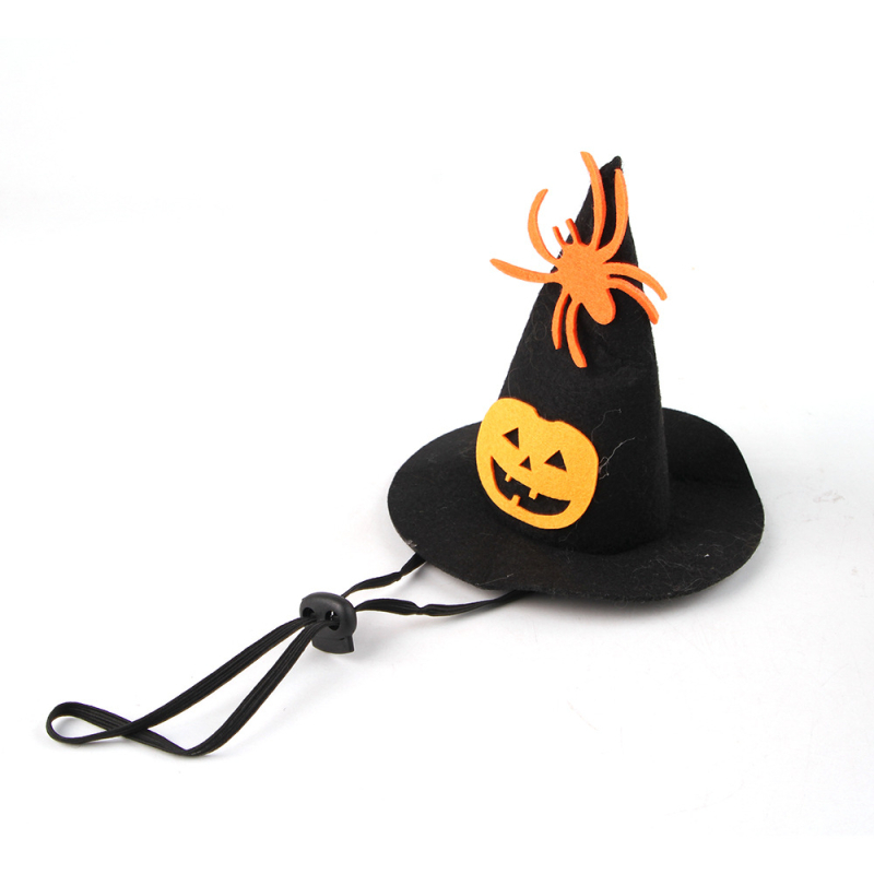 Хелоуин домашен любимец паяк шапка вещица шапка наметало от две части котка Всички светии забавен костюм трансформация костюм