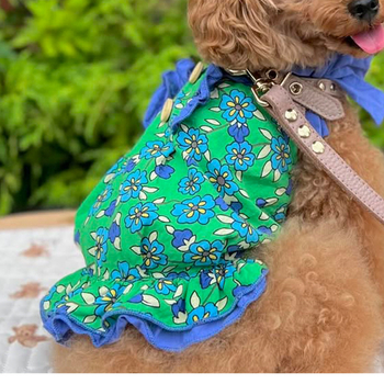 Νέο γιλέκο για κατοικίδια σκύλου Maltese Teddy του 2025 από καθαρό βαμβάκι με φλοράλ φιόγκο και γιακά
