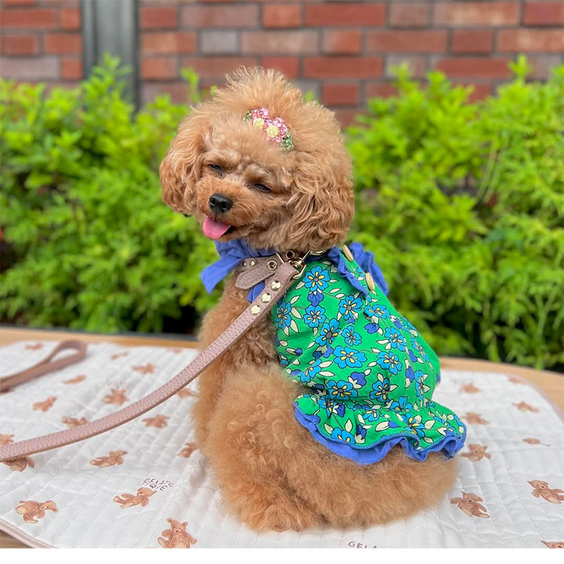 2025. aasta uus lemmikloomale mõeldud malta teksasärk, vest, puhas puuvillane lilleline lipsuga ja kraega kleit