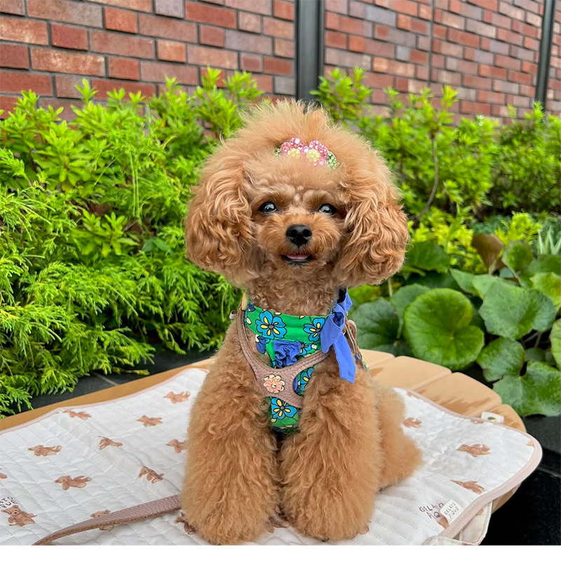 2025. aasta uus lemmikloomale mõeldud malta teksasärk, vest, puhas puuvillane lilleline lipsuga ja kraega kleit