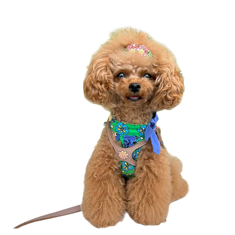 2025. aasta uus lemmikloomale mõeldud malta teksasärk, vest, puhas puuvillane lilleline lipsuga ja kraega kleit