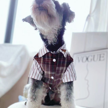 Lemmikloomariided Teddy Bichon väikestele ja keskmise suurusega koertele, villasest vestist kaheosaline komplekt