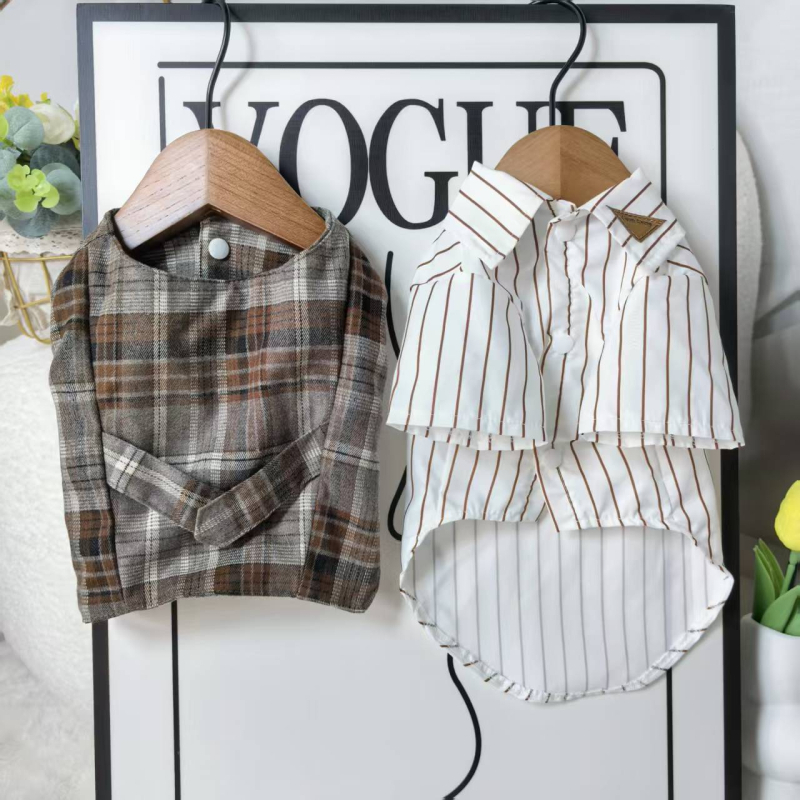 Lemmikloomariided Teddy Bichon väikestele ja keskmise suurusega koertele, villasest vestist kaheosaline komplekt