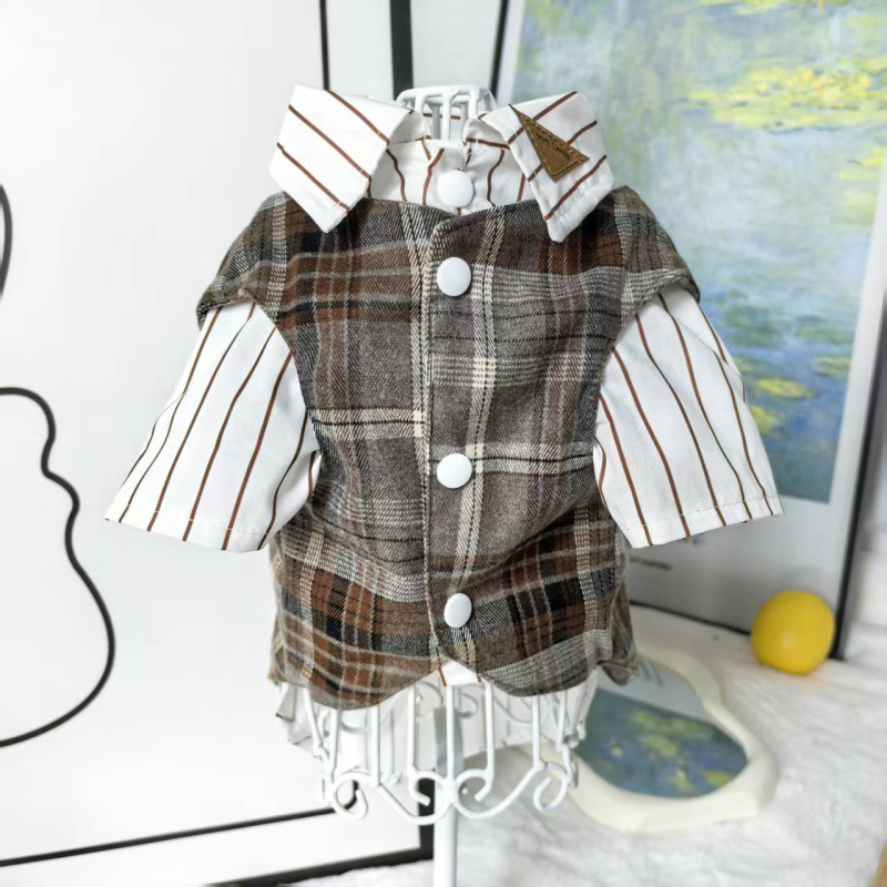 Lemmikloomariided Teddy Bichon väikestele ja keskmise suurusega koertele, villasest vestist kaheosaline komplekt