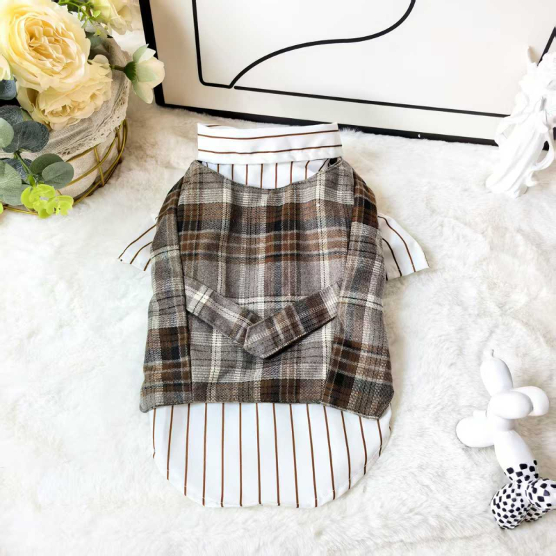 Lemmikloomariided Teddy Bichon väikestele ja keskmise suurusega koertele, villasest vestist kaheosaline komplekt