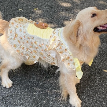 Ρούχα για σκύλους Golden Retriever, Μεσαίο, Φλοράλ, Samoyed Labrador