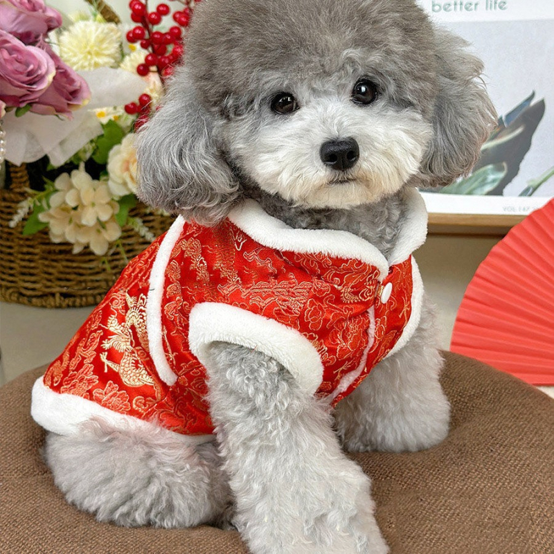 Kutyaruhák téli meleg piros pamuttal bélelt kisállat mackó plüss kutya újév ünnepi kínai stílusú Tang öltöny