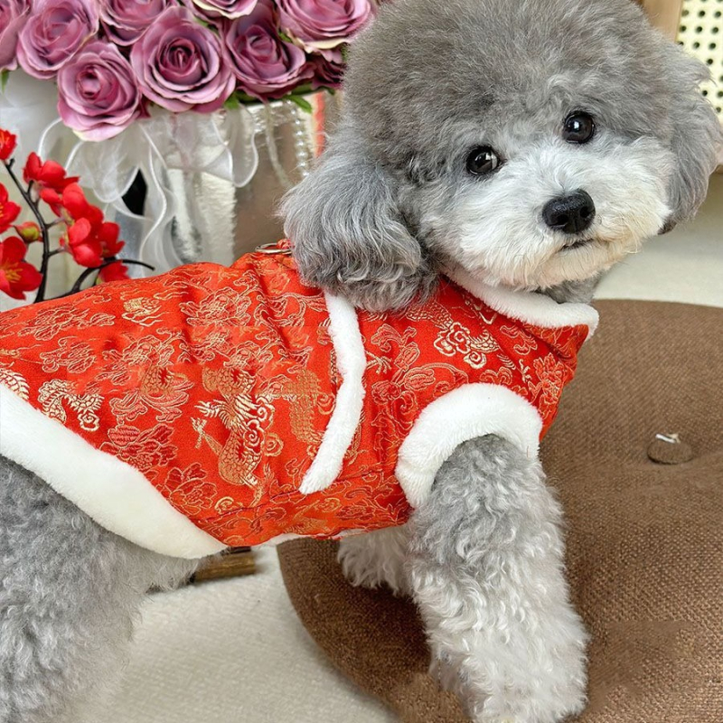 Kutyaruhák téli meleg piros pamuttal bélelt kisállat mackó plüss kutya újév ünnepi kínai stílusú Tang öltöny