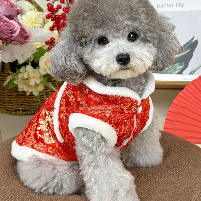 Kutyaruhák téli meleg piros pamuttal bélelt kisállat mackó plüss kutya újév ünnepi kínai stílusú Tang öltöny