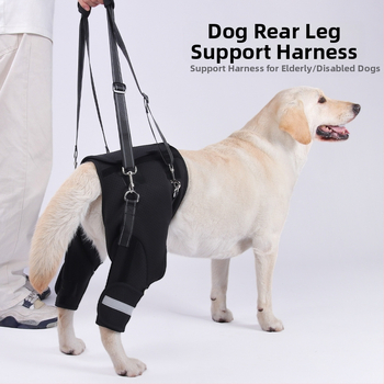 Piiriülene koera tagajala abivöö eakatele koertele, puuetega koerte rehabilitatsioon, tagajala tõsteköe hulgimüük