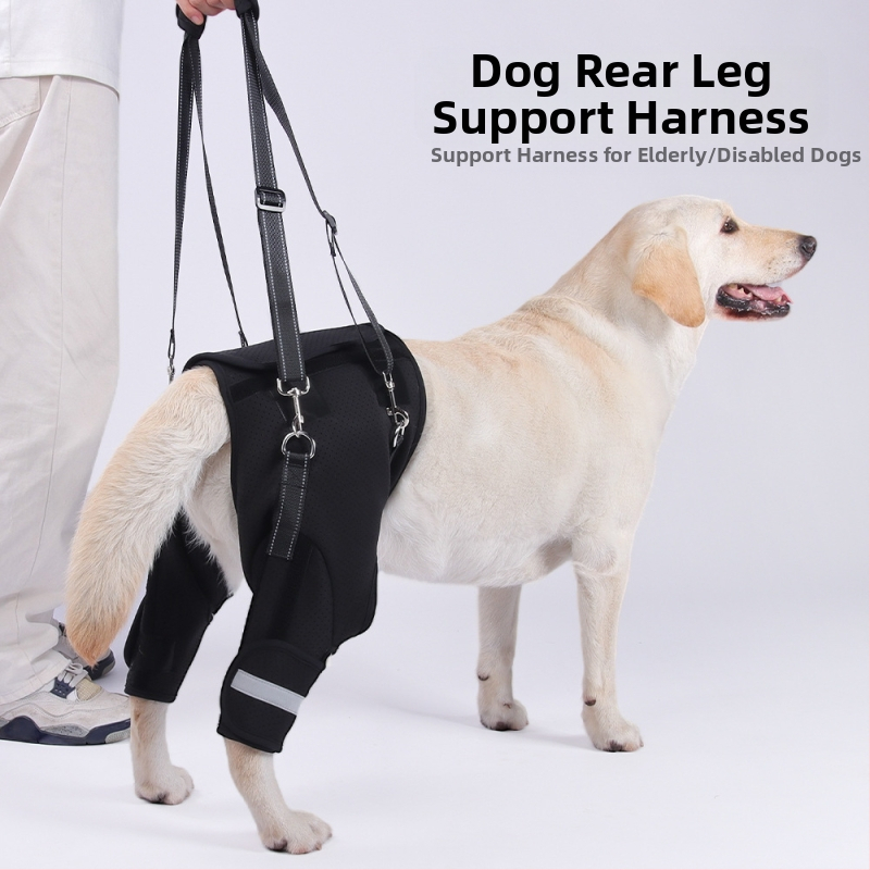 Piiriülene koera tagajala abivöö eakatele koertele, puuetega koerte rehabilitatsioon, tagajala tõsteköe hulgimüük