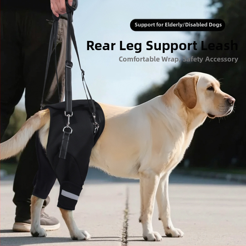 Pomocný pás na zadné nohy psov cezhraničného typu pre starších psov, rehabilitácia psov so zdravotným postihnutím, veľkoobchod s ťažným lanom na zdvíhanie zadných nôh