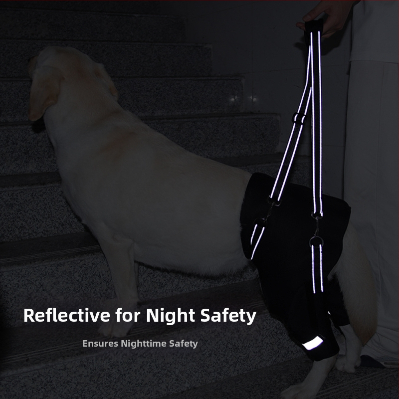 Pomocný pás na zadné nohy psov cezhraničného typu pre starších psov, rehabilitácia psov so zdravotným postihnutím, veľkoobchod s ťažným lanom na zdvíhanie zadných nôh