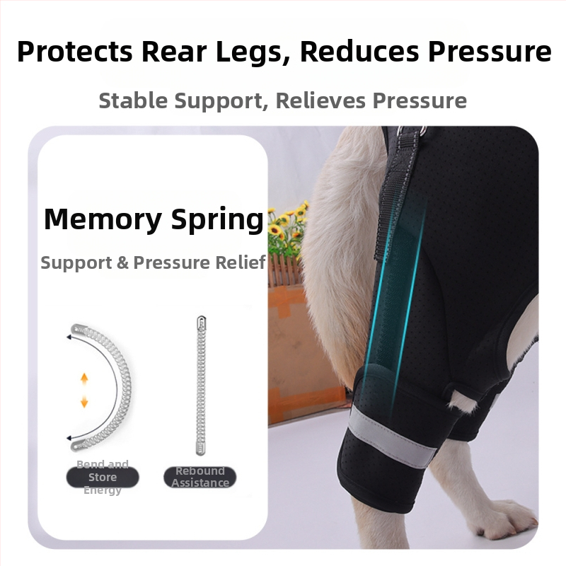 Pomocný pás na zadné nohy psov cezhraničného typu pre starších psov, rehabilitácia psov so zdravotným postihnutím, veľkoobchod s ťažným lanom na zdvíhanie zadných nôh