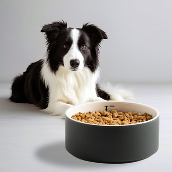 Keraamiline koerakauss, koeravann, joogikauss kaaluga, üksikkauss, kassikauss, kassitoidukauss, väliskaubanduse piiriülene lemmikloomakauss, kohapealne partii