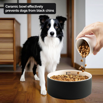 Keraamiline koerakauss, koeravann, joogikauss kaaluga, üksikkauss, kassikauss, kassitoidukauss, väliskaubanduse piiriülene lemmikloomakauss, kohapealne partii