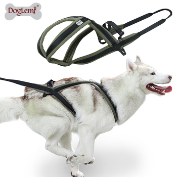 Lemmikloomade veojõuköis Hingav ja värskendav koera rinnarihm koerte jalutamiseks Kulumiskindel purunemiskindel koera kõndimisköis kaotamisvastane