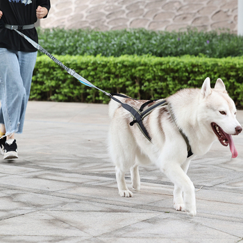 Σχοινί έλξης για κατοικίδια, αναπνεύσιμο και αναζωογονητικό λουρί στήθους για σκύλους, για βόλτα με σκύλους, ανθεκτικό στη φθορά, αντισπασίματος, σχοινί βόλτας για σκύλους, αντι-απώλεια