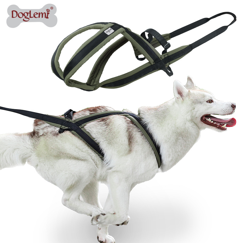 Lemmikloomade veojõuköis Hingav ja värskendav koera rinnarihm koerte jalutamiseks Kulumiskindel purunemiskindel koera kõndimisköis kaotamisvastane
