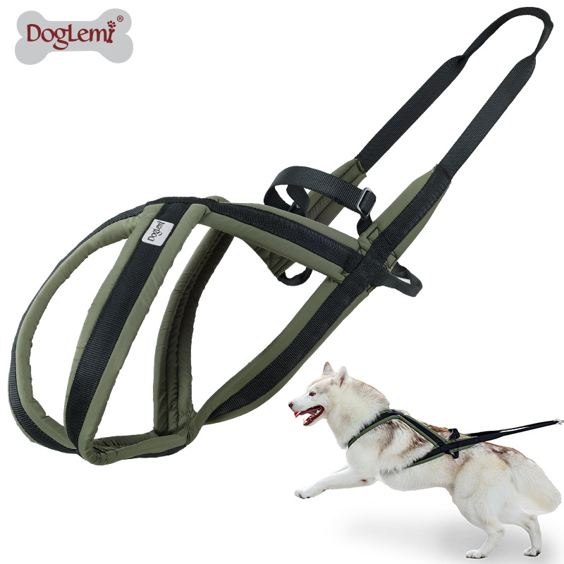 Lemmikloomade veojõuköis Hingav ja värskendav koera rinnarihm koerte jalutamiseks Kulumiskindel purunemiskindel koera kõndimisköis kaotamisvastane