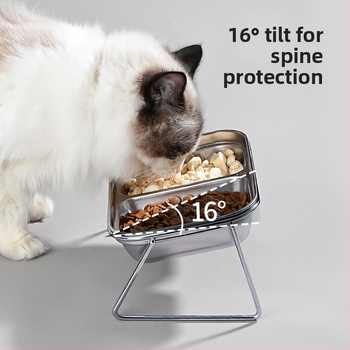 Új 304 rozsdamentes acél macskatál dupla tál eledel víz integrált macskatál nyakvédelemmel kopogásgátló állateledel nagykereskedelem