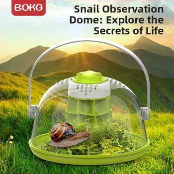 BOKG Sraigių gyvūnų gyvenamoji vieta pradinės mokyklos mokiniams Stebėjimo eksperimentas Mokslo rinkinys Veisimo dėžė Kosminė kapsulė