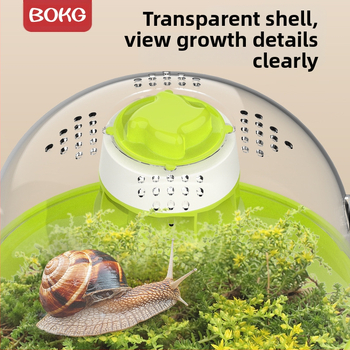 BOKG Sraigių gyvūnų gyvenamoji vieta pradinės mokyklos mokiniams Stebėjimo eksperimentas Mokslo rinkinys Veisimo dėžė Kosminė kapsulė