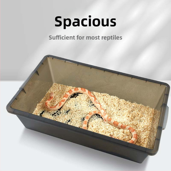 Κουτί αναπαραγωγής ερπετού για αναρρίχηση, πλαστικό κουτί, κουτί αναπαραγωγής PVC με ράφι τροφοδοσίας RZ