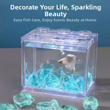 Ενυδρείο, Διαμόρφωση Τοπίου, Ενυδρείο, Κρυστάλλινος Βυθός, Στολίδια Παγετώνα, Γαλάζιος Δούρειος Ίππος, Κρυστάλλινος Βυθός από Πέτρα, Άμμος, Τοπίο, Γυάλινη Διακόσμηση